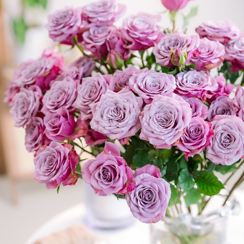 Spray Rose-Laila fresh cut rose wholesale from China
