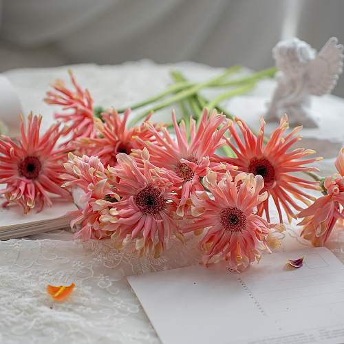Pastini Gerbera-Pesaro fresh cut rose wholesale from China
