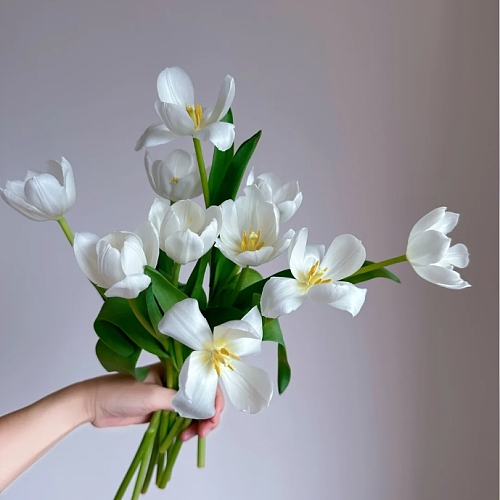 Tulip-Royal Virgin fresh cut rose wholesale from China