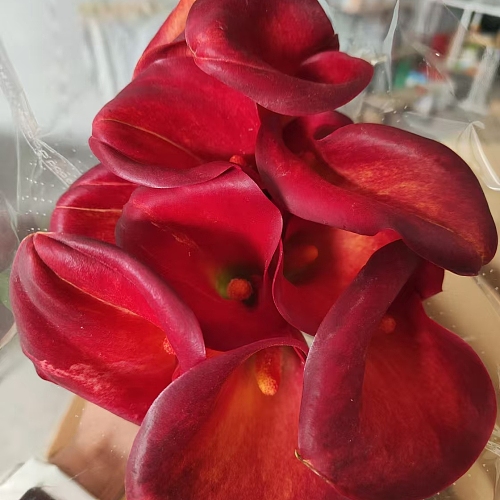 Calla Lily-Red fresh cut rose wholesale from China
