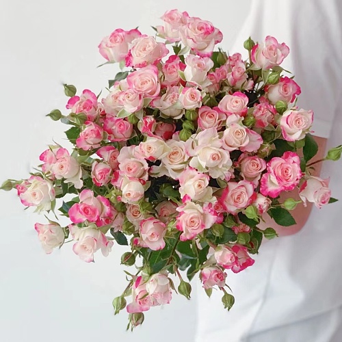 Spray Rose-Reflex fresh cut rose wholesale from China