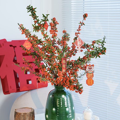 Pyracantha-Red fresh cut rose wholesale from China