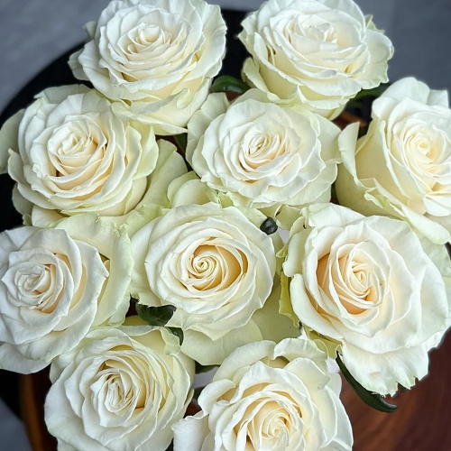 Rose-White Mondial fresh cut rose wholesale from China