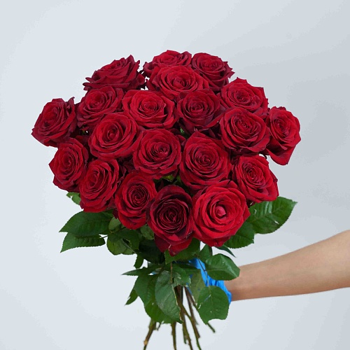 Rose-Adora fresh cut rose wholesale from China