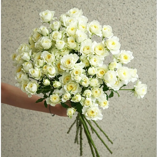 Spray Rose-Nuannuan fresh cut rose wholesale from China