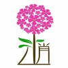 云上俏Yunshangqiao