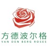 方德VAN DEN BERG ROSE
