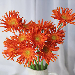 Pastini Gerbera-Marinara fresh cut rose wholesale from China