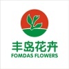 丰岛FOMDAS